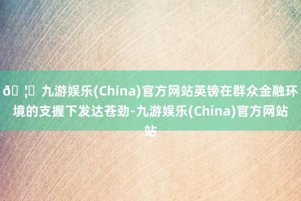 🦄九游娱乐(China)官方网站英镑在群众金融环境的支握下发达苍劲-九游娱乐(China)官方网站