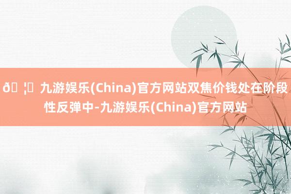 🦄九游娱乐(China)官方网站双焦价钱处在阶段性反弹中-九游娱乐(China)官方网站