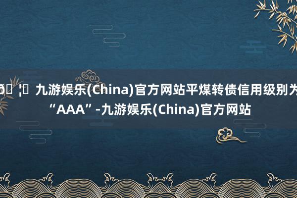 🦄九游娱乐(China)官方网站平煤转债信用级别为“AAA”-九游娱乐(China)官方网站