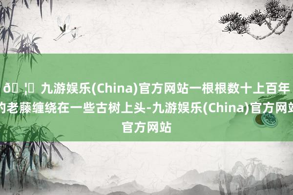 🦄九游娱乐(China)官方网站一根根数十上百年的老藤缠绕在一些古树上头-九游娱乐(China)官方网站