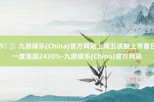 🦄九游娱乐(China)官方网站上周五该股上市首日一度涨超2430%-九游娱乐(China)官方网站