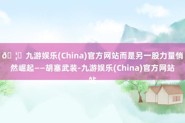 🦄九游娱乐(China)官方网站而是另一股力量悄然崛起——胡塞武装-九游娱乐(China)官方网站