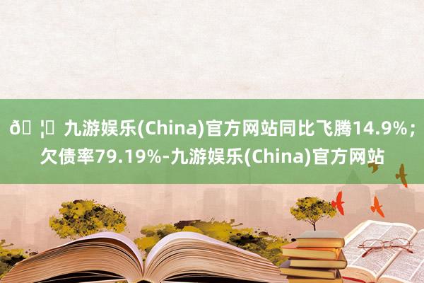 🦄九游娱乐(China)官方网站同比飞腾14.9%；欠债率79.19%-九游娱乐(China)官方网站