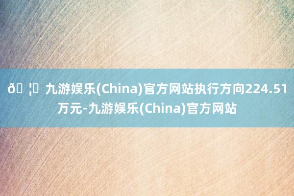 🦄九游娱乐(China)官方网站执行方向224.51万元-九游娱乐(China)官方网站