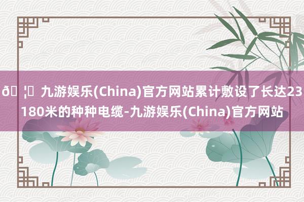 🦄九游娱乐(China)官方网站累计敷设了长达23180米的种种电缆-九游娱乐(China)官方网站