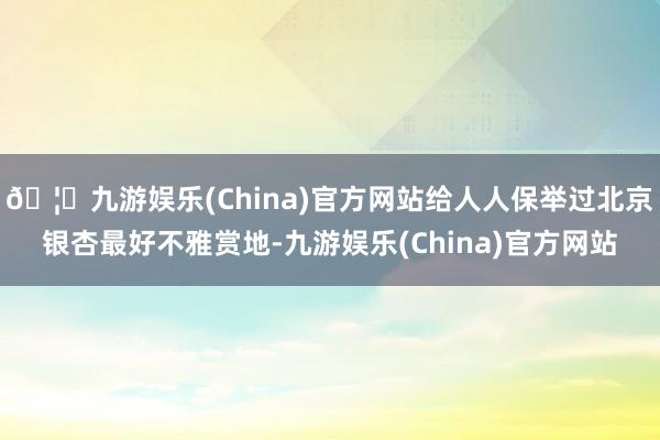 🦄九游娱乐(China)官方网站给人人保举过北京银杏最好不雅赏地-九游娱乐(China)官方网站