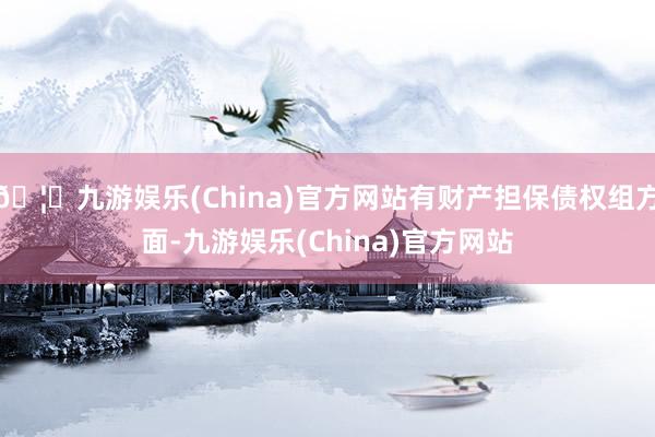 🦄九游娱乐(China)官方网站有财产担保债权组方面-九游娱乐(China)官方网站