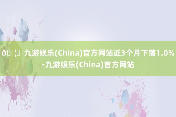 🦄九游娱乐(China)官方网站近3个月下落1.0%-九游娱乐(China)官方网站