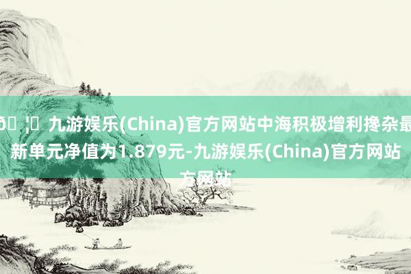 🦄九游娱乐(China)官方网站中海积极增利搀杂最新单元净值为1.879元-九游娱乐(China)官方网站