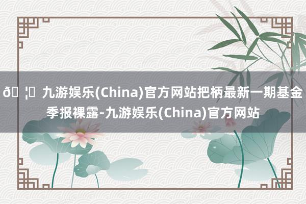 🦄九游娱乐(China)官方网站把柄最新一期基金季报裸露-九游娱乐(China)官方网站