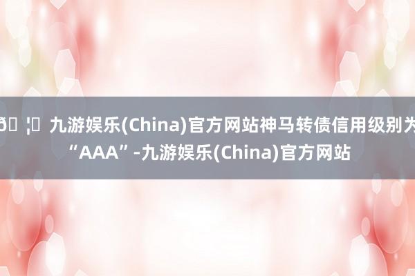 🦄九游娱乐(China)官方网站神马转债信用级别为“AAA”-九游娱乐(China)官方网站