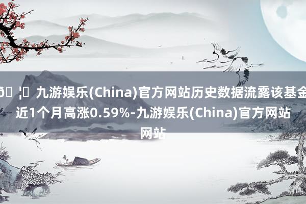 🦄九游娱乐(China)官方网站历史数据流露该基金近1个月高涨0.59%-九游娱乐(China)官方网站