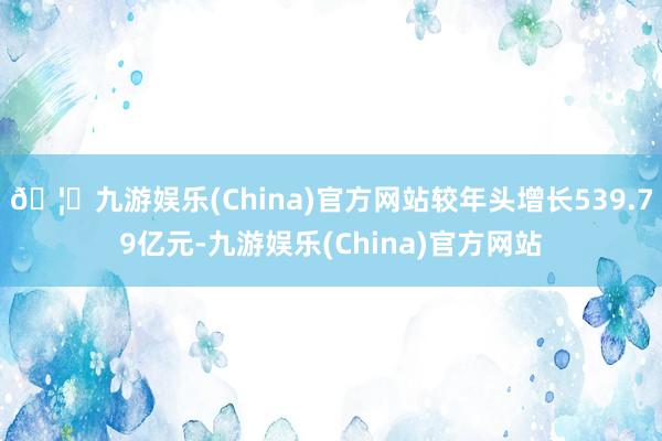 🦄九游娱乐(China)官方网站较年头增长539.79亿元-九游娱乐(China)官方网站