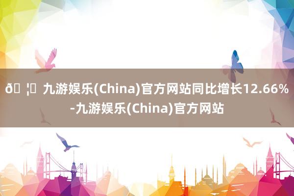 🦄九游娱乐(China)官方网站同比增长12.66%-九游娱乐(China)官方网站