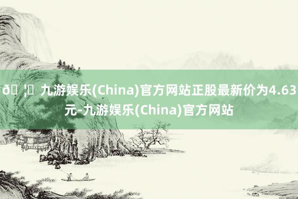 🦄九游娱乐(China)官方网站正股最新价为4.63元-九游娱乐(China)官方网站