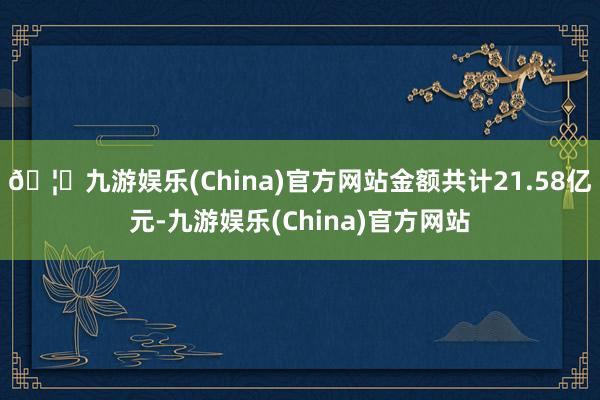 🦄九游娱乐(China)官方网站金额共计21.58亿元-九游娱乐(China)官方网站