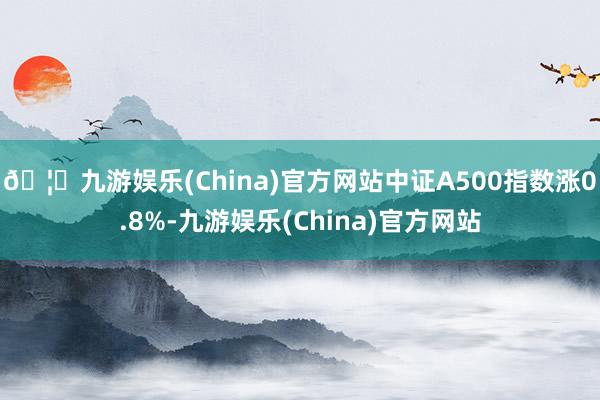 🦄九游娱乐(China)官方网站中证A500指数涨0.8%-九游娱乐(China)官方网站